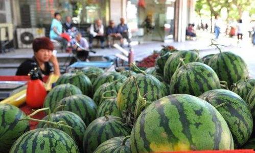 成都网红吃瓜锦江区,网红吃瓜胜地，探寻城市美食新潮流