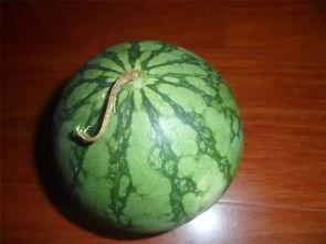 必看吃瓜网,揭秘娱乐圈最新热点，带你领略幕后真相