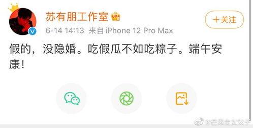 吃瓜网验证登录,轻松开启畅享瓜界之旅