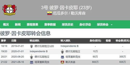 51吃瓜网手机登录,畅享独家资讯盛宴！