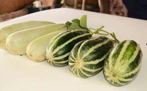 各种网红吃瓜视频,盘点那些让人捧腹的瓜界风云