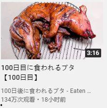 网红小猪吃瓜,揭秘网红美食背后的故事