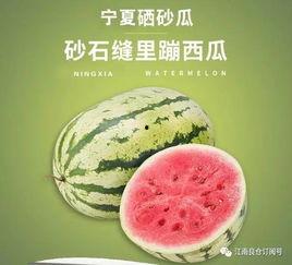 网红1元吃瓜,揭秘网络红人背后的秘密