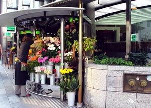 吃瓜网花店老板