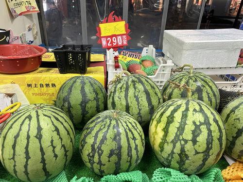 浙江校园吃瓜网,揭秘校园热点事件，带你领略青春风采