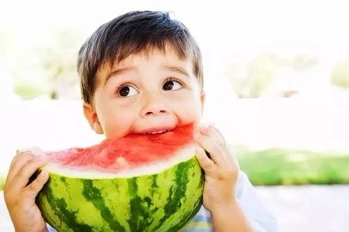 社会摇吃瓜网,揭秘娱乐圈幕后风云，带你领略网络舆论的力量