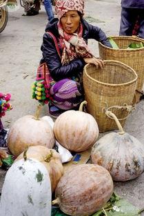 吃瓜网我是云南的,吃瓜网带你领略独特地域美食文化