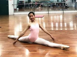 上海名校舞蹈老师吃瓜网,吃瓜网上的风云人物