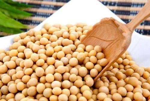 网红吃小黄豆的瓜,是勇敢尝试还是作秀？