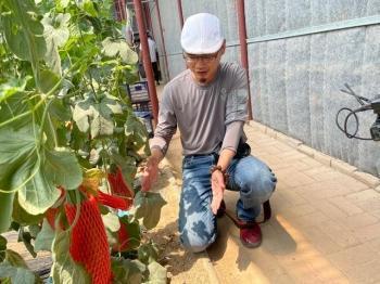 打卡网红吃瓜地,揭秘网红美食背后的故事