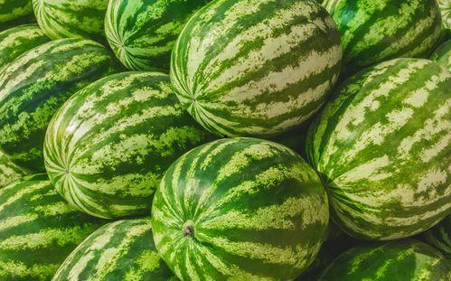 吃瓜网2023,盘点娱乐圈热点事件与幕后真相