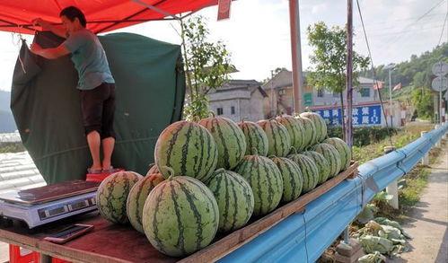 睢宁网红吃瓜事件,揭秘网络舆论的风暴与真相