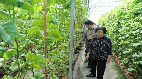 定远网红吃瓜事件始末是真的吗