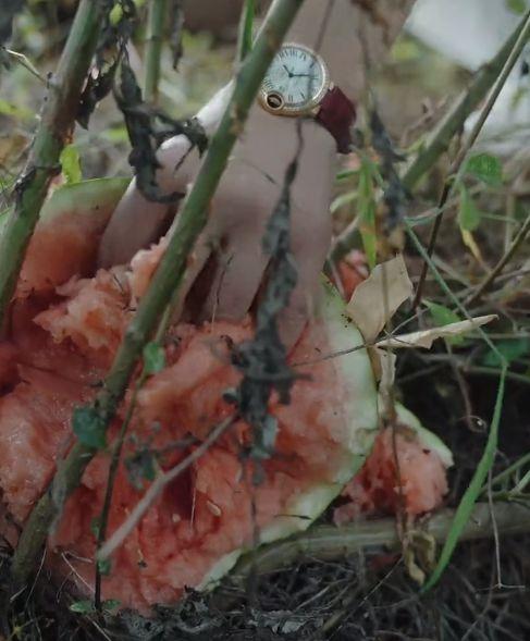 网红小鱼海棠吃瓜,揭秘娱乐圈吃瓜背后的故事