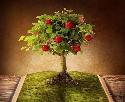 网红小鱼海棠吃瓜,揭秘娱乐圈吃瓜背后的故事