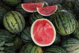 吃瓜网30块钱,吃瓜网带你开启省钱美食之旅