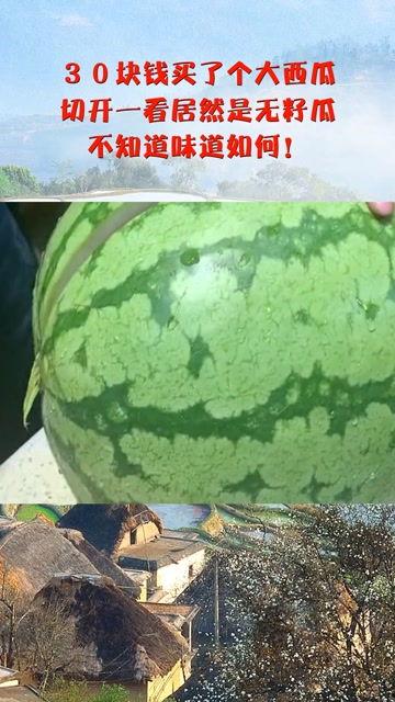 吃瓜网30块钱,吃瓜网带你开启省钱美食之旅