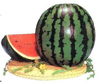 八卦吃瓜网红图片大全大图