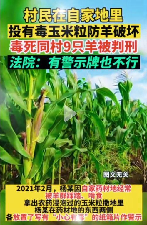 五一吃瓜网今日吃瓜娜娜,今日吃瓜热点，娜娜带你一探究竟！