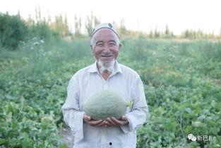 网红州长吃瓜群众,网红州长与吃瓜群众的瓜界风云