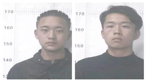 吃瓜群众网进不去了怎么办,吃瓜群众网站无法访问？揭秘解决之道