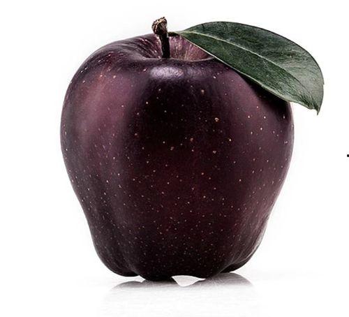 黑网吃瓜料网苹果