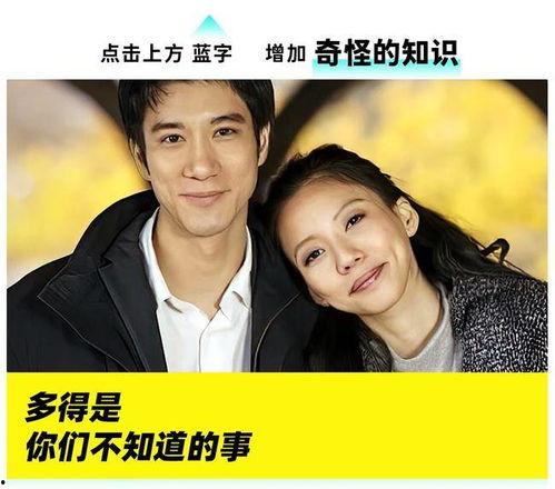 王力宏事件吃瓜网