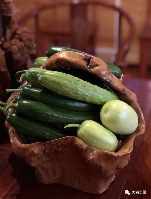 宿州吃瓜网红是谁,瓜田里的美食传奇