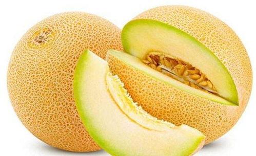 网红鹅喜欢吃哈密瓜吗,揭秘哈密瓜的诱惑