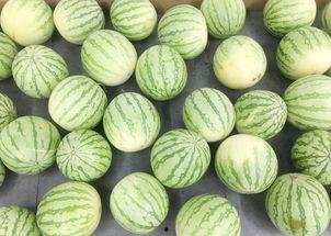 当当网的瓜怎么吃,教你轻松解锁美味吃法