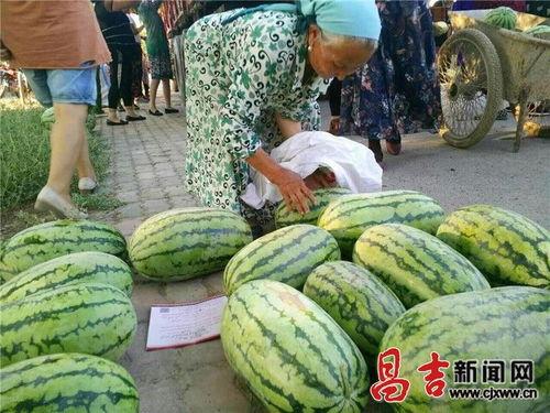 朝阳市民吃瓜网最新消息,市民吃瓜网曝最新热点事件