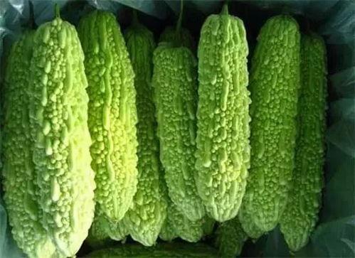 南宁吃瓜事件网红,网红引发的网络热议与反思