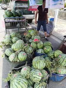 西藏网红吃瓜事件