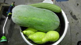 吃瓜网今日吃瓜热门大瓜谭竹,吃瓜网今日热门大瓜,揭秘娱乐圈风云人物背后的故事 第3张 吃瓜网今日吃瓜热门大瓜谭竹,吃瓜网今日热门大瓜,揭秘娱乐圈风云人物背后的故事 第3张