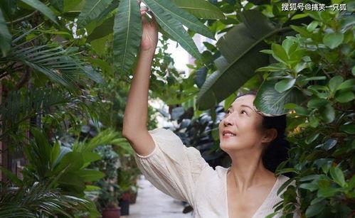 吃瓜事件网红楠楠 第2张 吃瓜事件网红楠楠 第2张