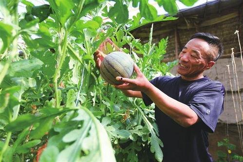 吃瓜事件网红楠楠 第3张 吃瓜事件网红楠楠 第3张