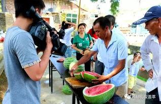 莱阳公安网吃瓜的群众,揭秘网络舆论背后的真相 第2张 莱阳公安网吃瓜的群众,揭秘网络舆论背后的真相 第2张