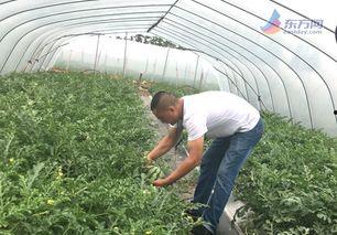 吃瓜网红图片高清,揭秘吃瓜网红高清美照背后的故事  第2张