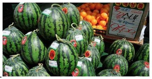 韩城吃瓜网红是谁啊图片  第2张