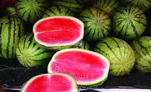 善堂网红吃瓜视频大全集,揭秘娱乐圈幕后真相  第3张