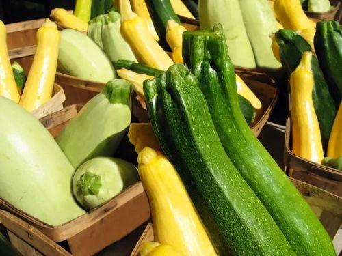 吃瓜sx网  第3张