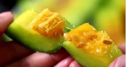 网红瓜去哪里吃比较好  第2张