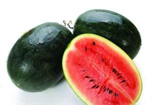 黑瓜吃料网最新在线  第2张