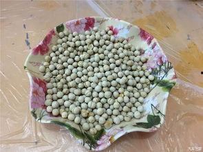 五一每日吃瓜网,每日热点一网打尽  第2张