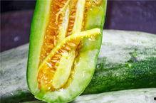 各网红吃瓜视频,一网打尽热门事件幕后真相  第2张