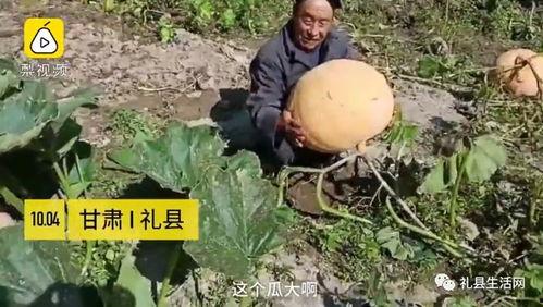 礼县吃瓜网红事件视频曝光,视频曝光引发网友热议  第1张