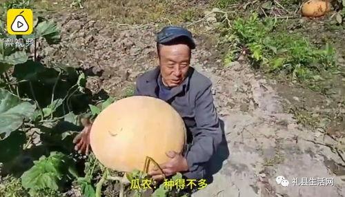 礼县吃瓜网红事件视频曝光,视频曝光引发网友热议  第2张